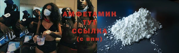 шишки Заводоуковск