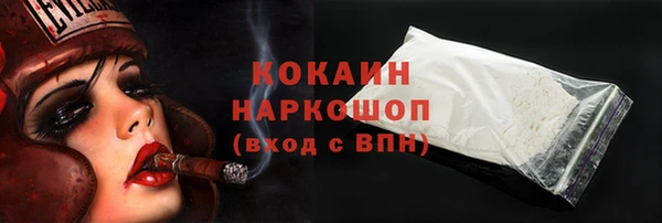 гидра Заволжье