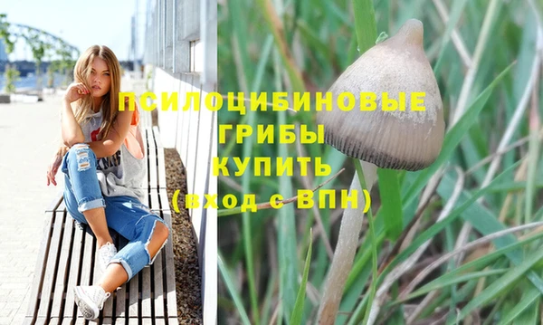 метадон Заволжск