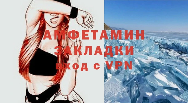 шишки Заводоуковск