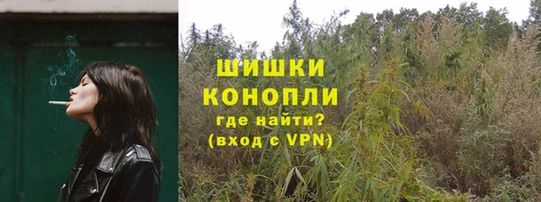 гидра Зеленокумск