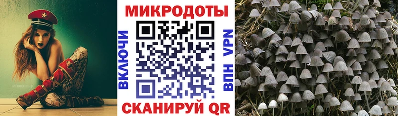Псилоцибиновые грибы MAGIC MUSHROOMS  Купить закладки  Козьмодемьянск 
