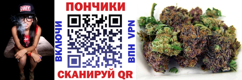 Купить закладки  Козьмодемьянск  Бошки марихуана Bruce Banner 